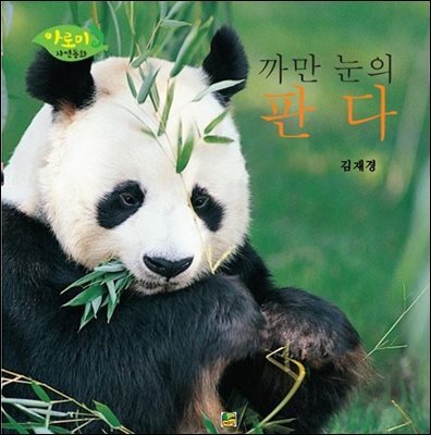 까만 눈의 판다