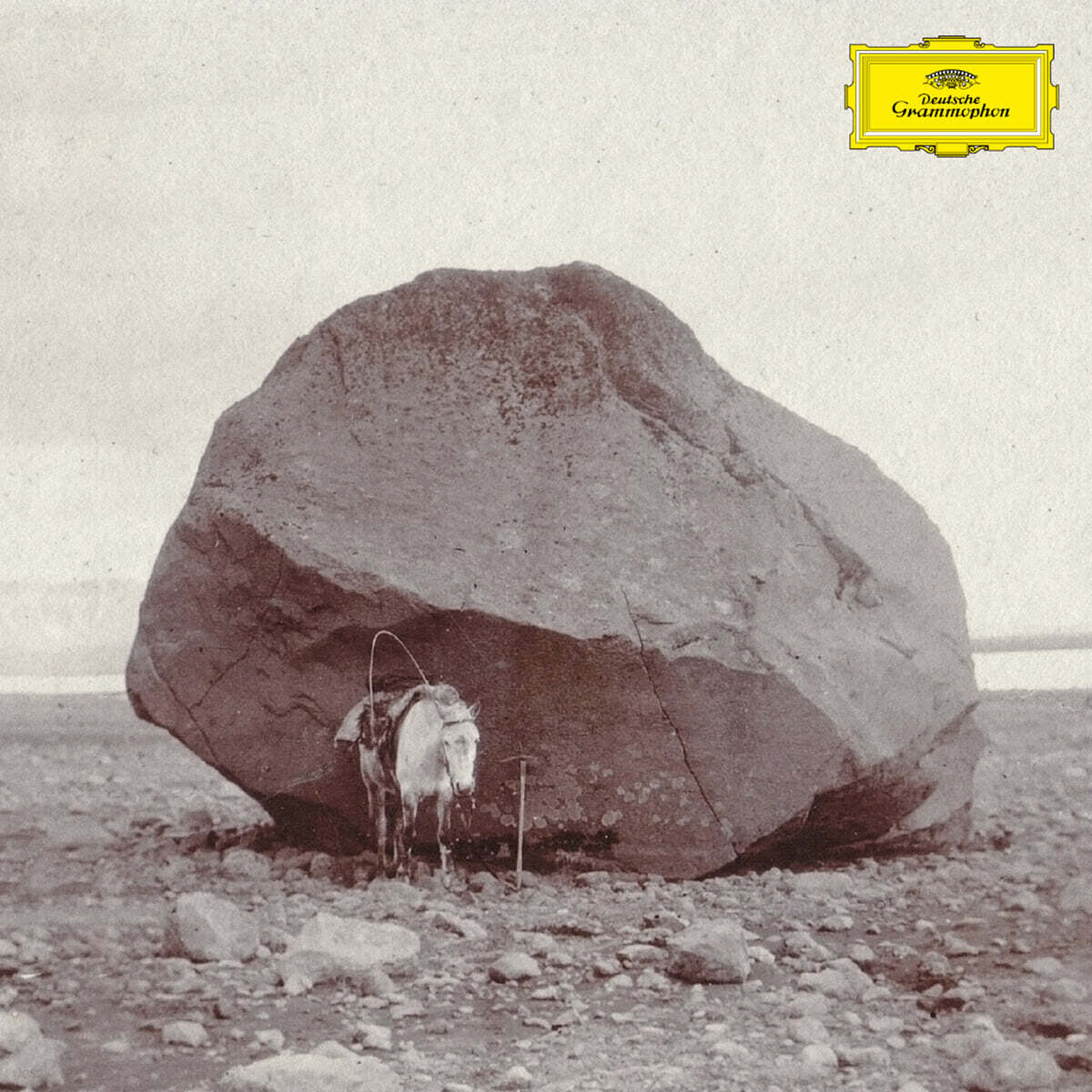 Snorri Hallgrímsson (스노리 할그림손) - Longer Shadows, Softer Stones [LP]