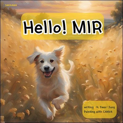Hello MIR