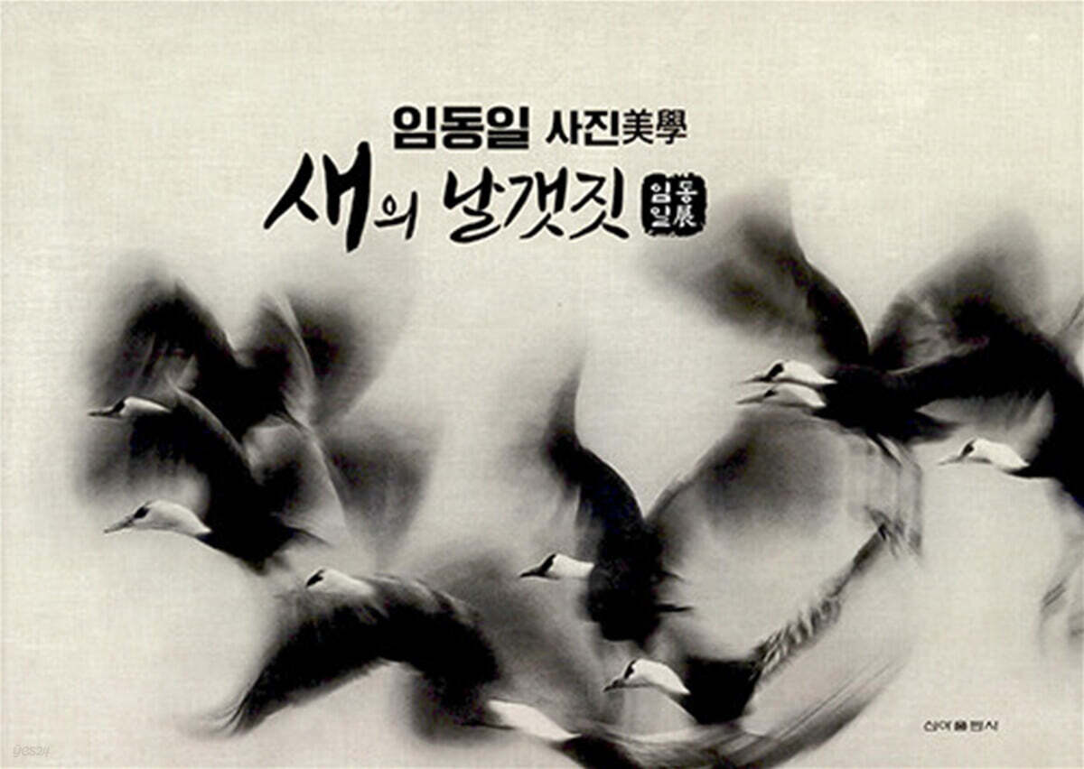 새의 날개짓