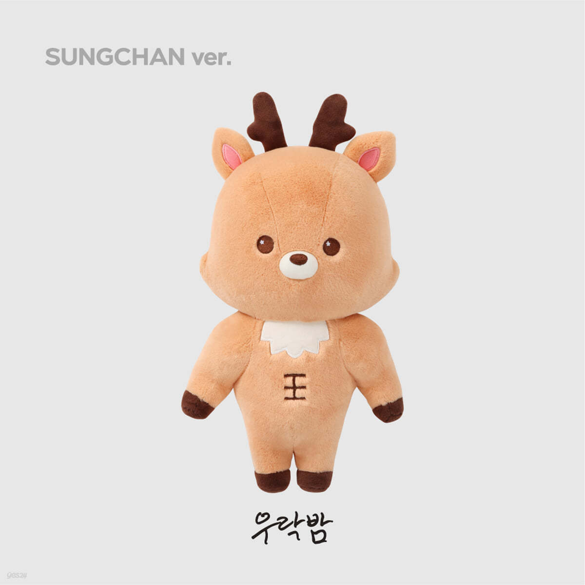 [2024 RIIZE FANCON 'RIIZING DAY FINALE' 2nd MD] 40CM DOLL [성찬 ver.]