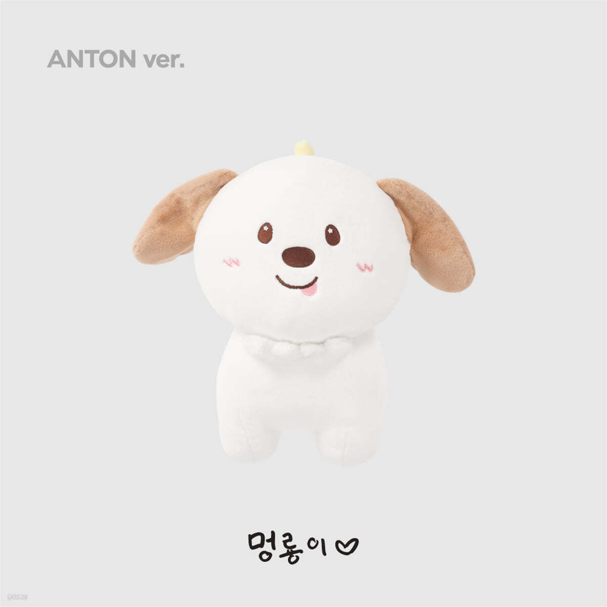 [2024 RIIZE FANCON &#39;RIIZING DAY FINALE&#39; 2nd MD] 40CM DOLL [앤톤 ver.]