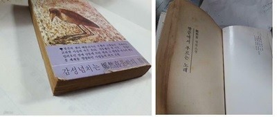 땅 끝에서 부르는 노래 /(정연희/주부생활사 사은부록/사진 및 하단참조)