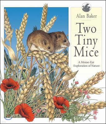 Two Tiny Mice: A Mouse-Eye Exploration of Nature