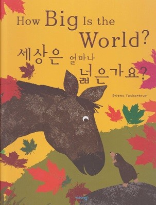 How Big Is the World? - 세상은 얼마나 넓은가요? [영한대역본]