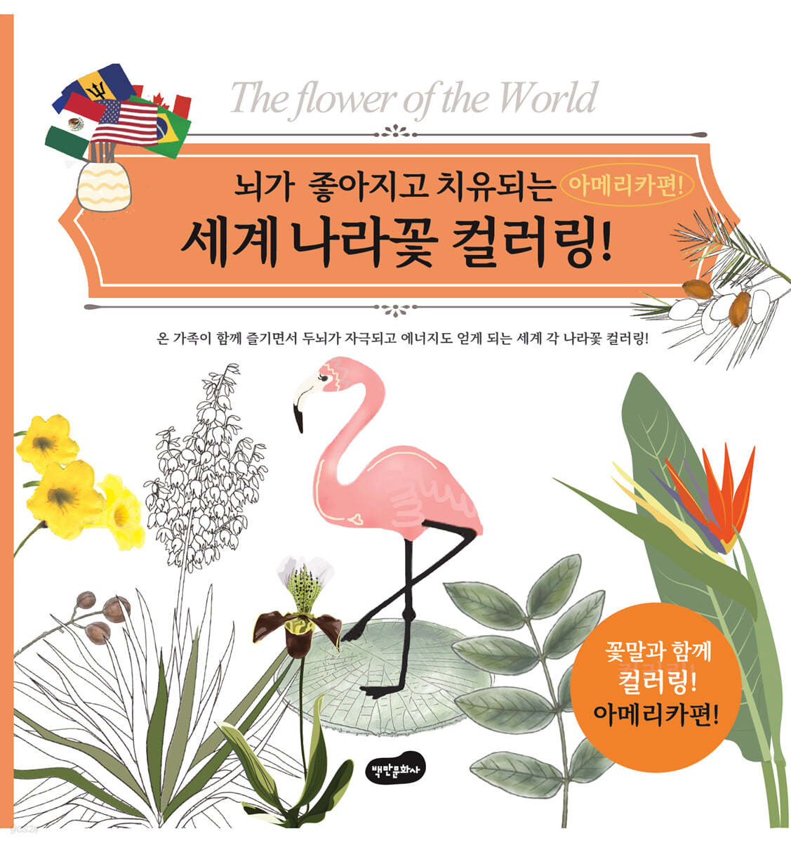 세계 나라꽃 컬러링 아메리카편