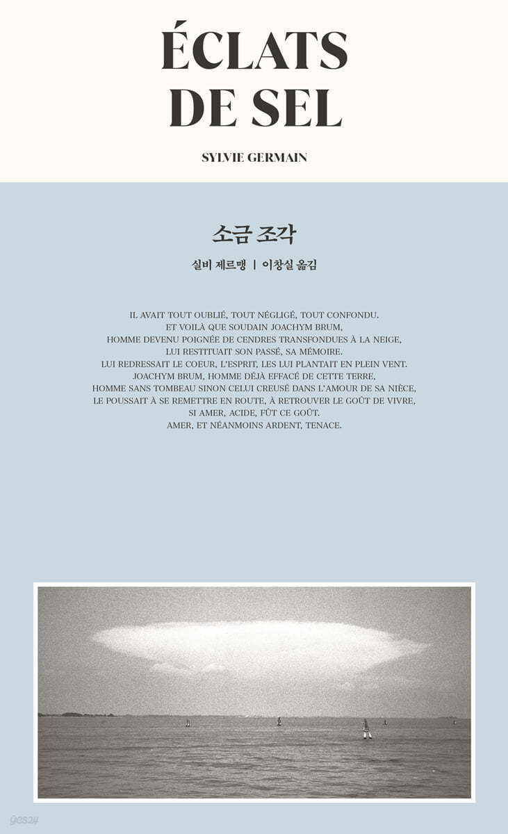 소금 조각