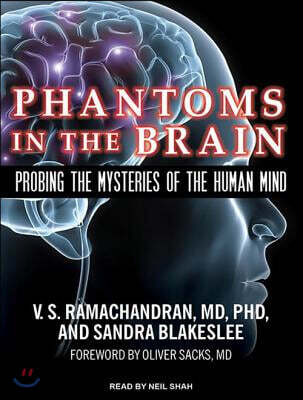 Phantoms in the Brain