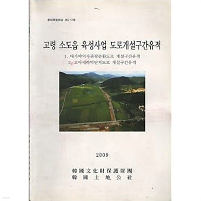 고령 소도읍 육성사업 도로개설구간유적