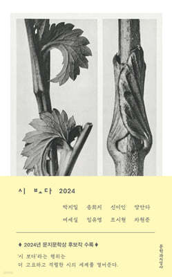 시 보다 2024