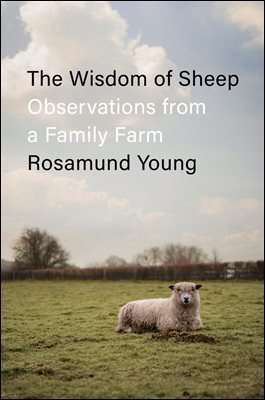 [ܵ] The Wisdom of Sheep