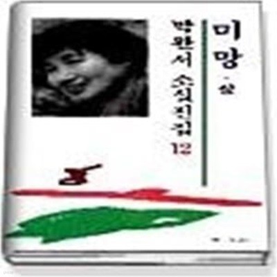 미망 (상) - 1991년 제3회 이산문학상 수상작품집