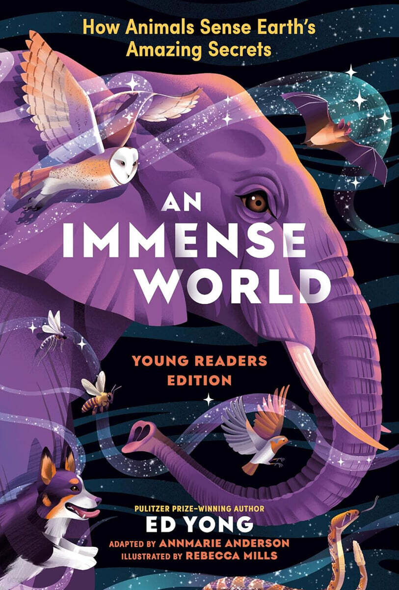 Immense World, An