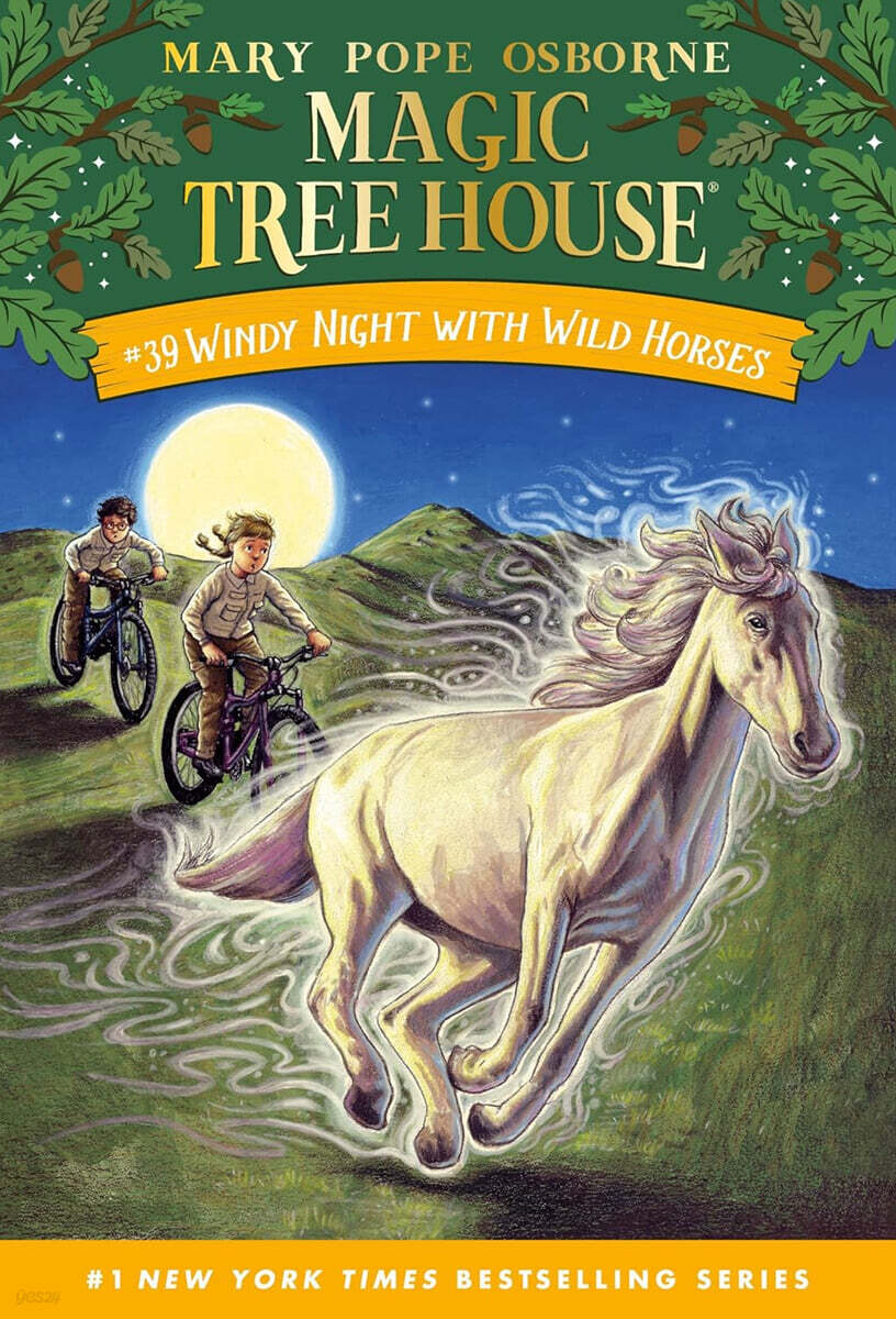 Magic Tree House #39 : Windy Night with Wild Horses