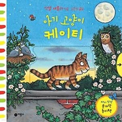 아기 고양이 케이티