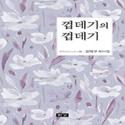 껍데기의 껍데기