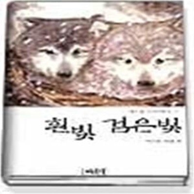 흰빛 검은빛 (북스쿨고학년문고5)