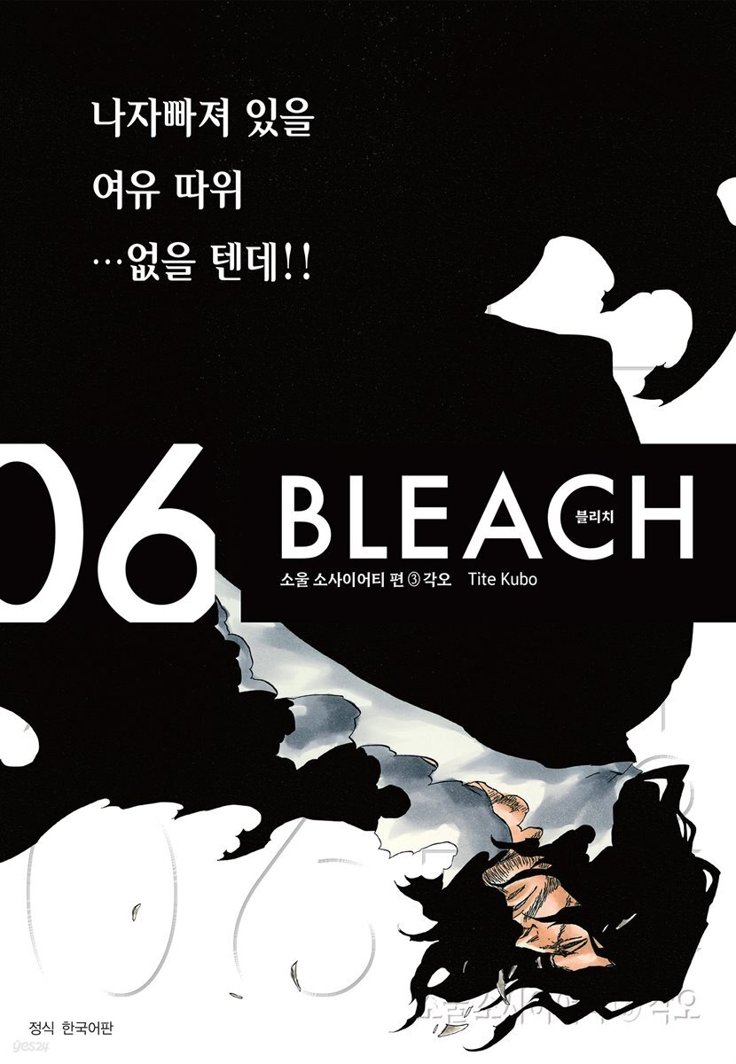 블리치 리믹스 06권
