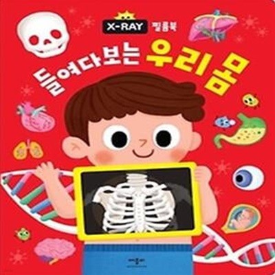 X-RAY 필름북 들여다보는 우리 몸