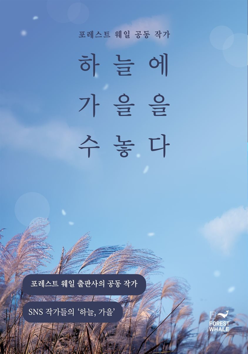 하늘에 가을을 수놓다