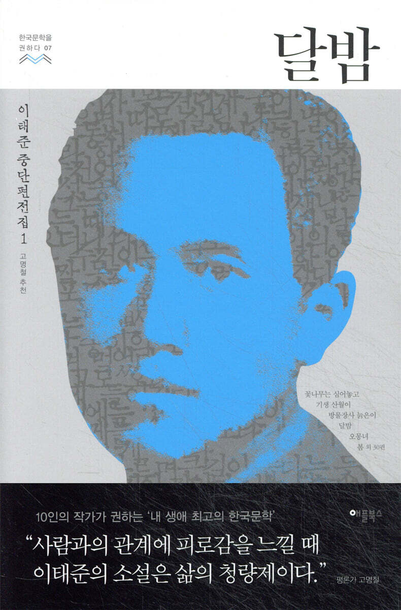 달밤