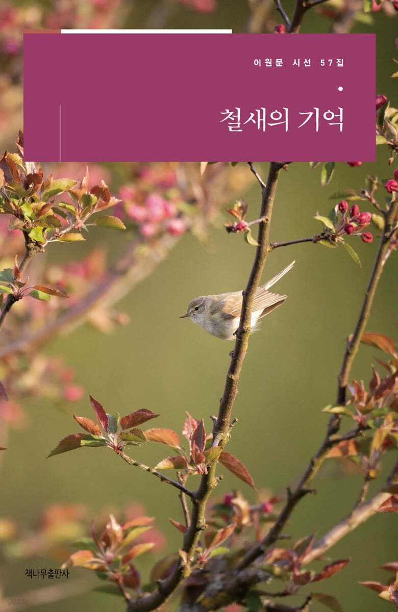 철새의 기억