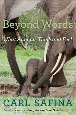 Beyond Words: What Animals Think and Feel