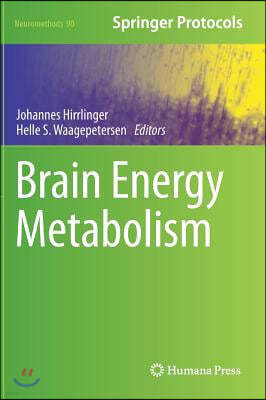 Brain Energy Metabolism