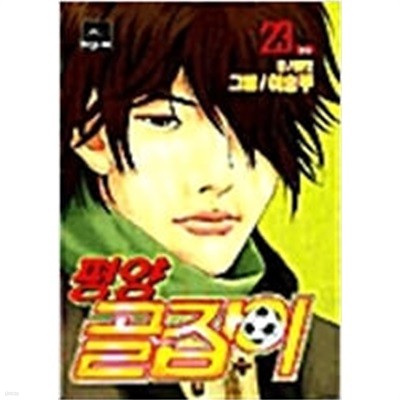 평양 골잡이 1-23 (전23권 완결) / 이승주 축구 만화 