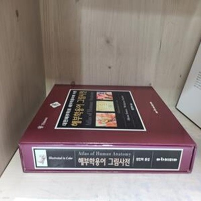 해부학용어 그림사전