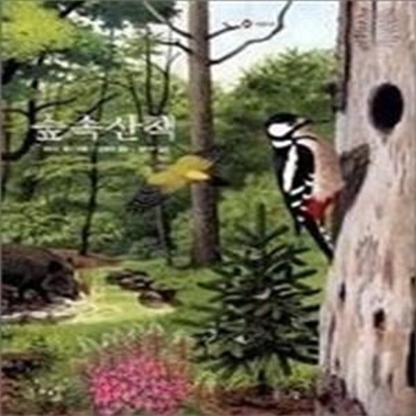 [중고샵] 숲속산책 - 예스24 [중고샵]숲속산책 - 예스24