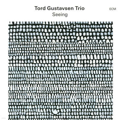 Tord Gustavsen Trio (토드 구스타브센 트리오) - Seeing [LP]