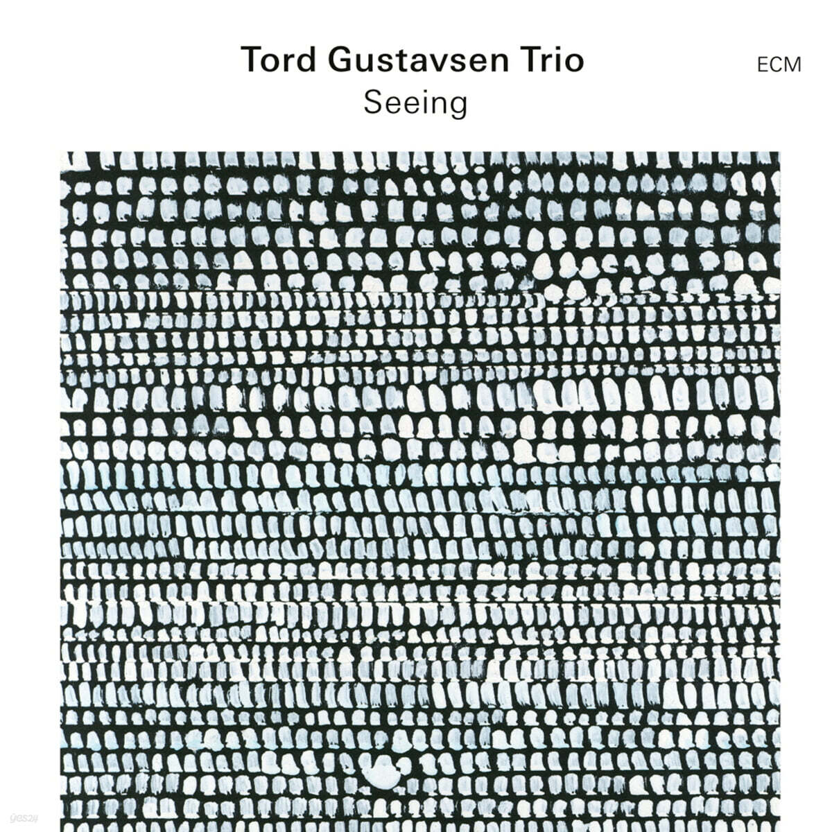 Tord Gustavsen Trio (토드 구스타브센 트리오) - Seeing [LP]
