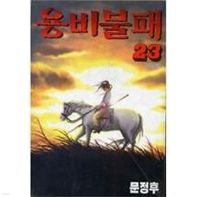 용비불패(1-23완)+외전(1-12완) 총 35권 > 완결(중고코믹)>실사진 참조