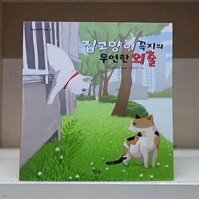 집고양이 꼭지의 우연한 외출