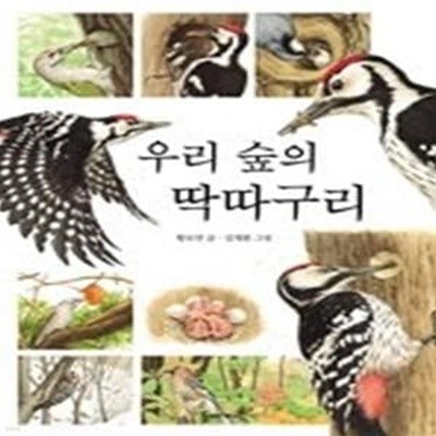 우리 숲의 딱따구리