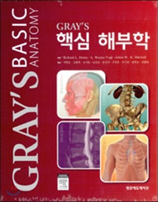 GRAY'S 핵심 해부학