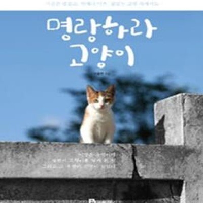 명랑하라 고양이 (가끔은 즐겁고, 언제나 아픈, 끝없는 고행 속에서도)