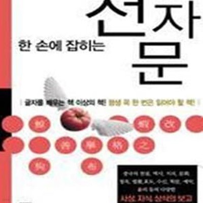 천자문 (한 손에 잡히는,평생 꼭 한 번은 읽어야 할 책)