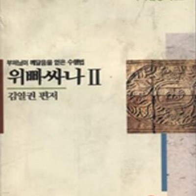 위빠싸나 2 (바라밀총서 12)