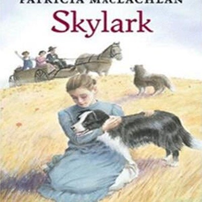 SKY LARK