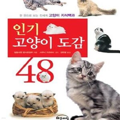 인기 고양이 도감 48