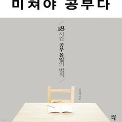 미쳐야 공부다 (18시간 공부 몰입의 법칙)