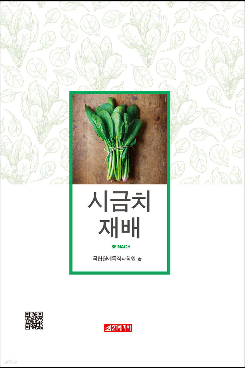 시금치 재배