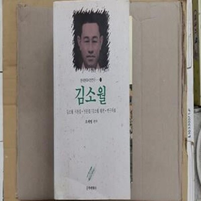 김소월,-김소월 시전집.산문집/평전.연구자료-