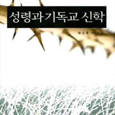 성령과 기독교 신학 (POD)