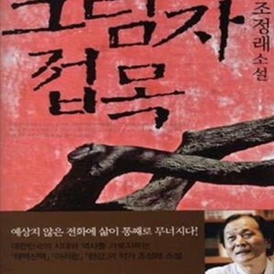 그림자 접목 (조정래 소설)