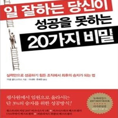 일 잘하는 당신이 성공을 못하는 20가지 비밀 (실력만으로 성공하기 힘든 조직에서 최후의 승자가 되는 법)