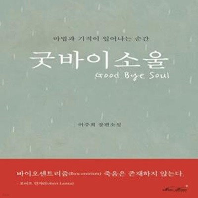 굿바이 소울 (이주희 장편소설 | 마법과 기적이 일어나는 순간)