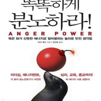 똑똑하게 분노하라 (묵은 화가 산뜻한 에너지로 탈바꿈하는 놀라운 반전 생각법, Anger Power)